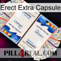 Erect Extra Capsule kamagra1